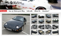 business website info